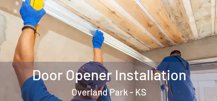 Door Opener Installation Overland Park - KS