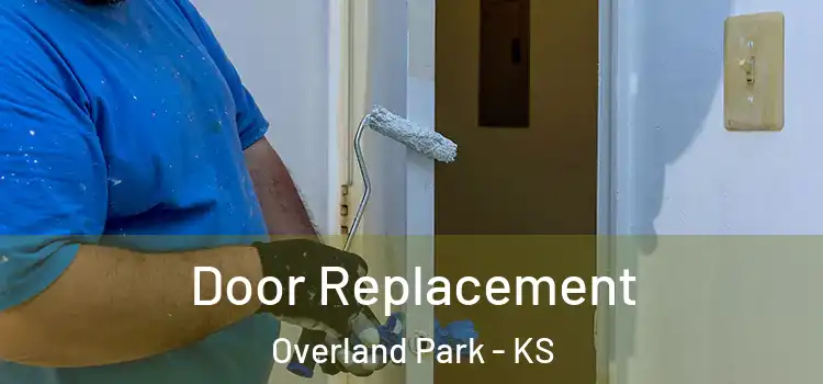  Door Replacement Overland Park - KS