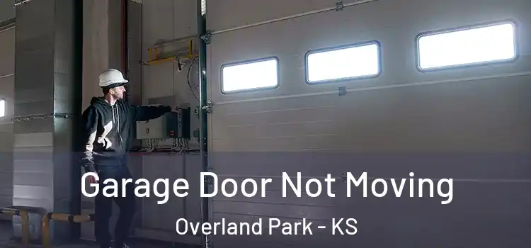  Garage Door Not Moving Overland Park - KS