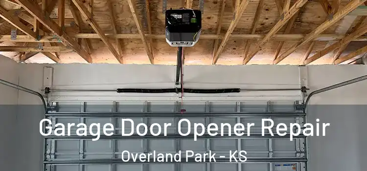  Garage Door Opener Repair Overland Park - KS
