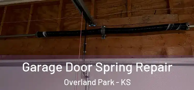  Garage Door Spring Repair Overland Park - KS