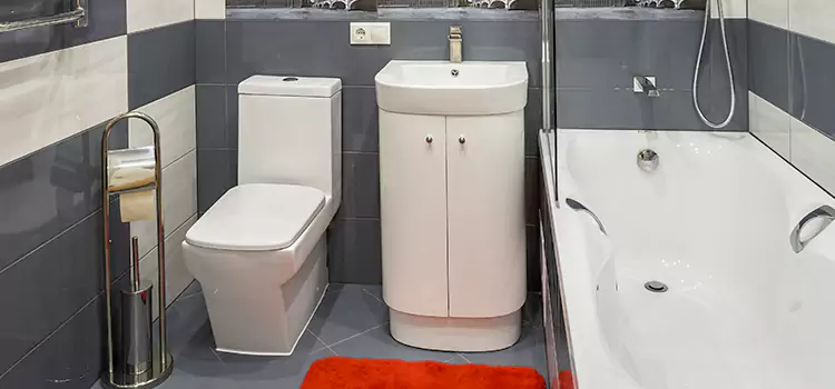Hansgrohe Shaving Mirror Overland Park