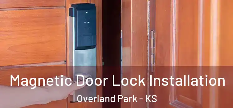  Magnetic Door Lock Installation Overland Park - KS