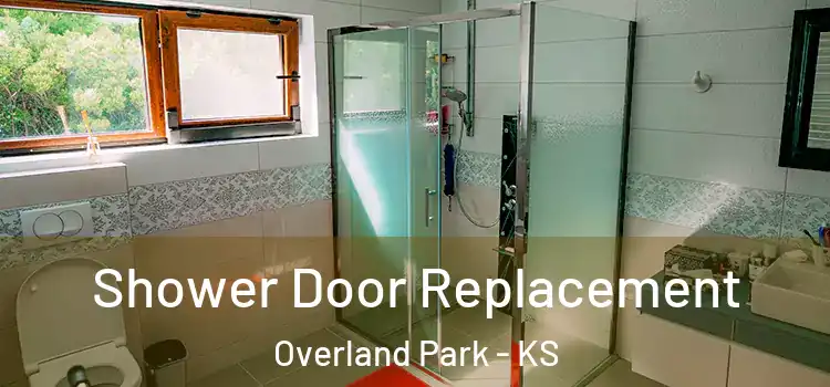  Shower Door Replacement Overland Park - KS