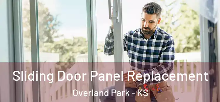  Sliding Door Panel Replacement Overland Park - KS